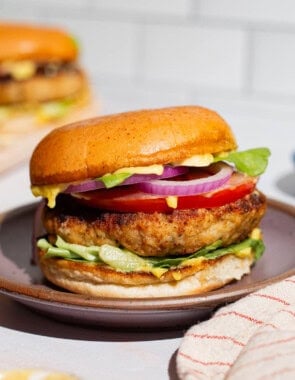 A close up of a chicken burger on plate.