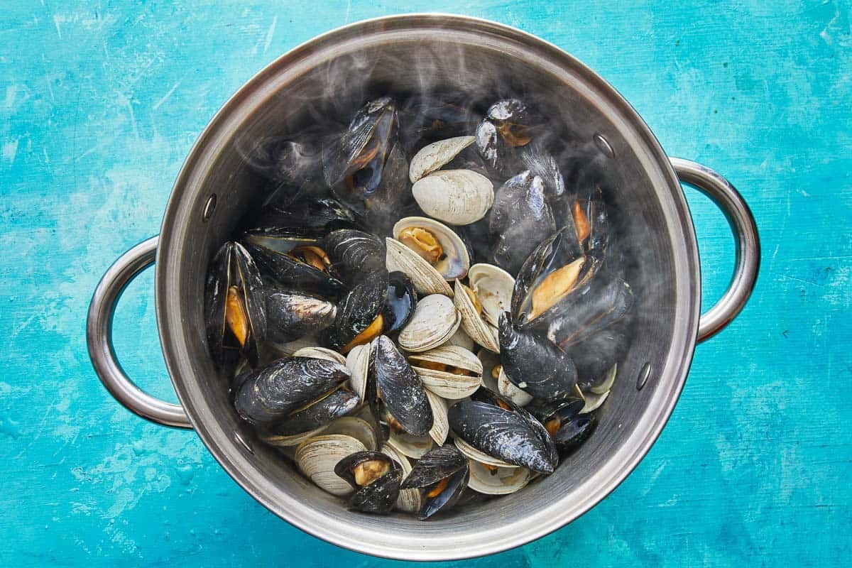 mussels and clams steaming in a pot.