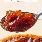 Pin image 1 for fig jam.