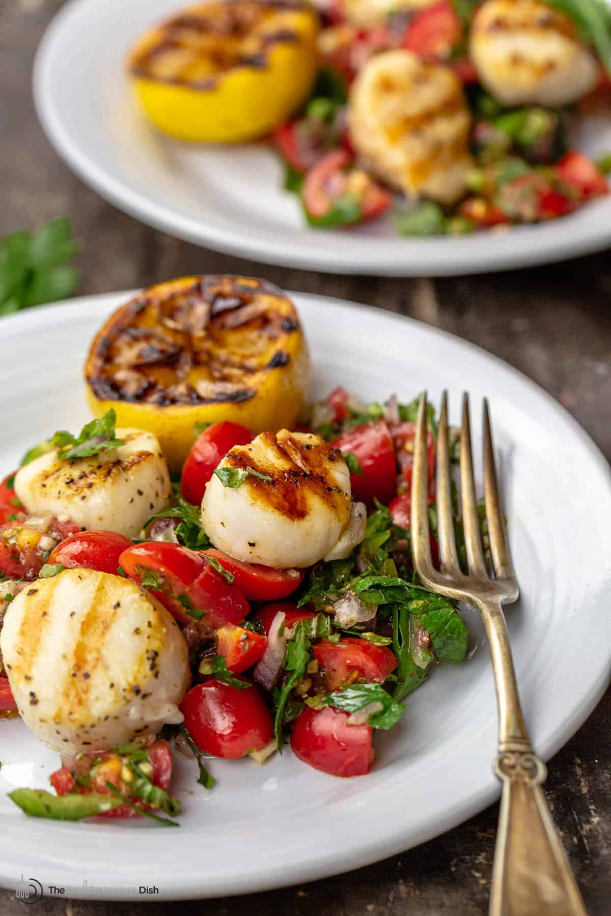 A plate of scallops over Mediterranean-style salsa