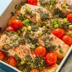 A close up of 4 Greek salmon fillets with cherry tomatoes in a baking dish.